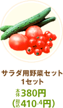 �T���_�p��؃Z�b�g 1�Z�b�g 398�~ 