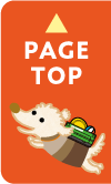 PAGE TOP