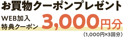 お買い物クーポンプレゼント　WEB加入特典クーポン　3000円分（1000円×3回分）