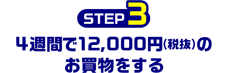 step3