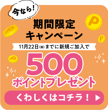 今なら！期間限定キャンペーン500ポイントプレゼントくわしくはコチラ！