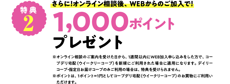 特典2さらに！オンライン相談後、WEBからのご加入で！1,000ポイントプレゼント