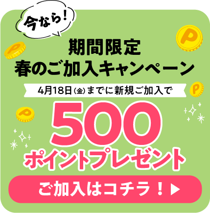 今なら！期間限定キャンペーン500ポイントプレゼントくわしくはコチラ！