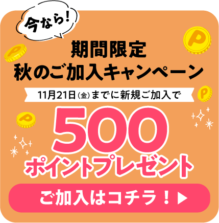 今なら！期間限定キャンペーン500ポイントプレゼントくわしくはコチラ！
