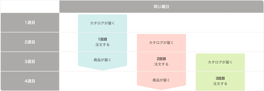 1週目にカタログが届き、2週目に1回目の注文、3週目に商品が届く。以降このサイクルを毎週繰り返す図。