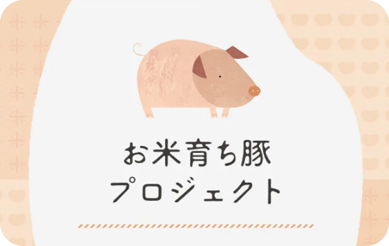 お米育ち豚プロジェクト