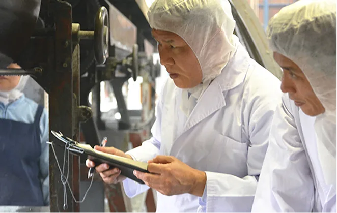 工場の製造工程を調査する様子