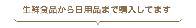 生鮮食品から日用品まで購入してます